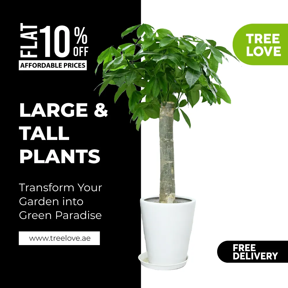 Tall Plants - 1080-x-1080