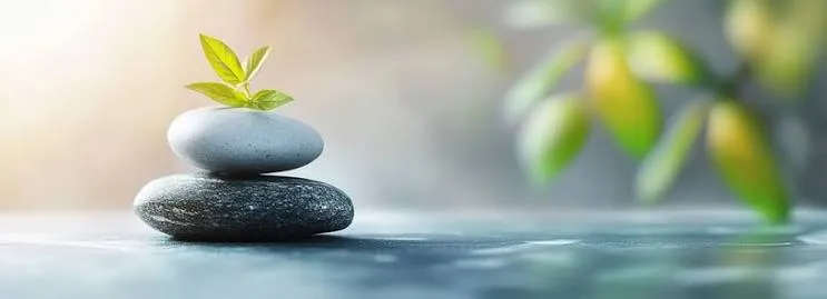 Health & Wellness